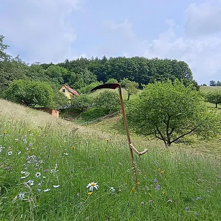 Ferienhaus Grabenhansl Stubenberg Exteriér fotografie