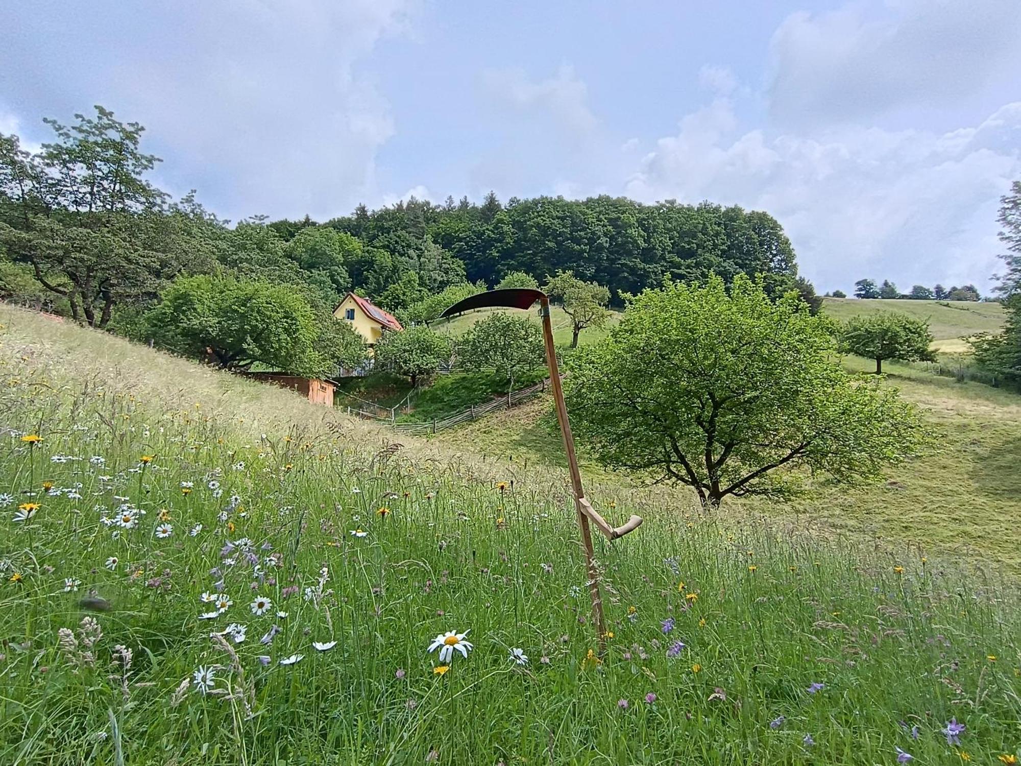 Grabenhansl Ferienhaus